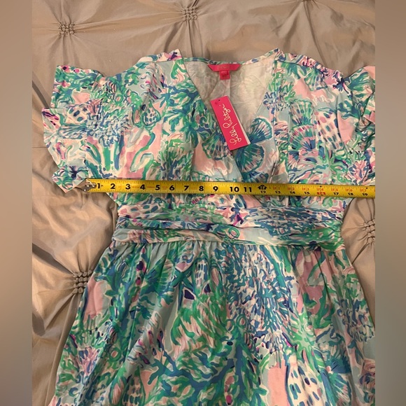 Lilly Pulitzer Dress - Picture 10 of 11
